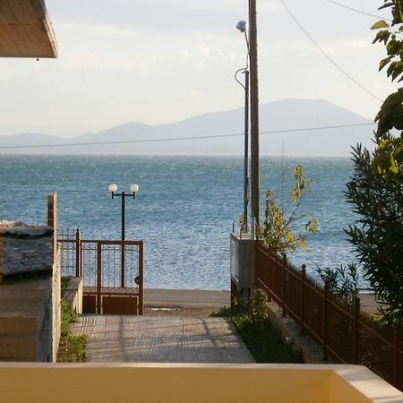Artemis - Marina Apartments Evia Екстериор снимка